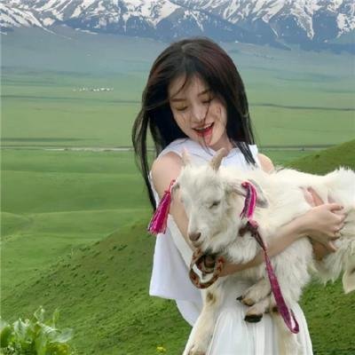拔打鸦 海报