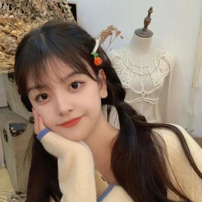 精灵宝可梦:大家的故事 海报