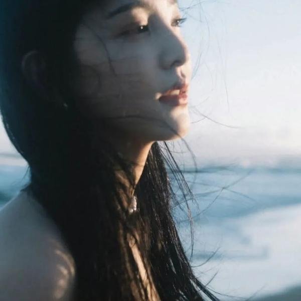 黑雀特工 海报