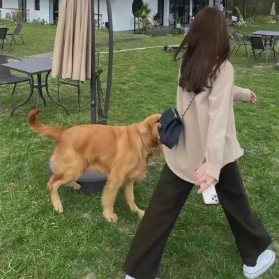 漫研部第三季 海报